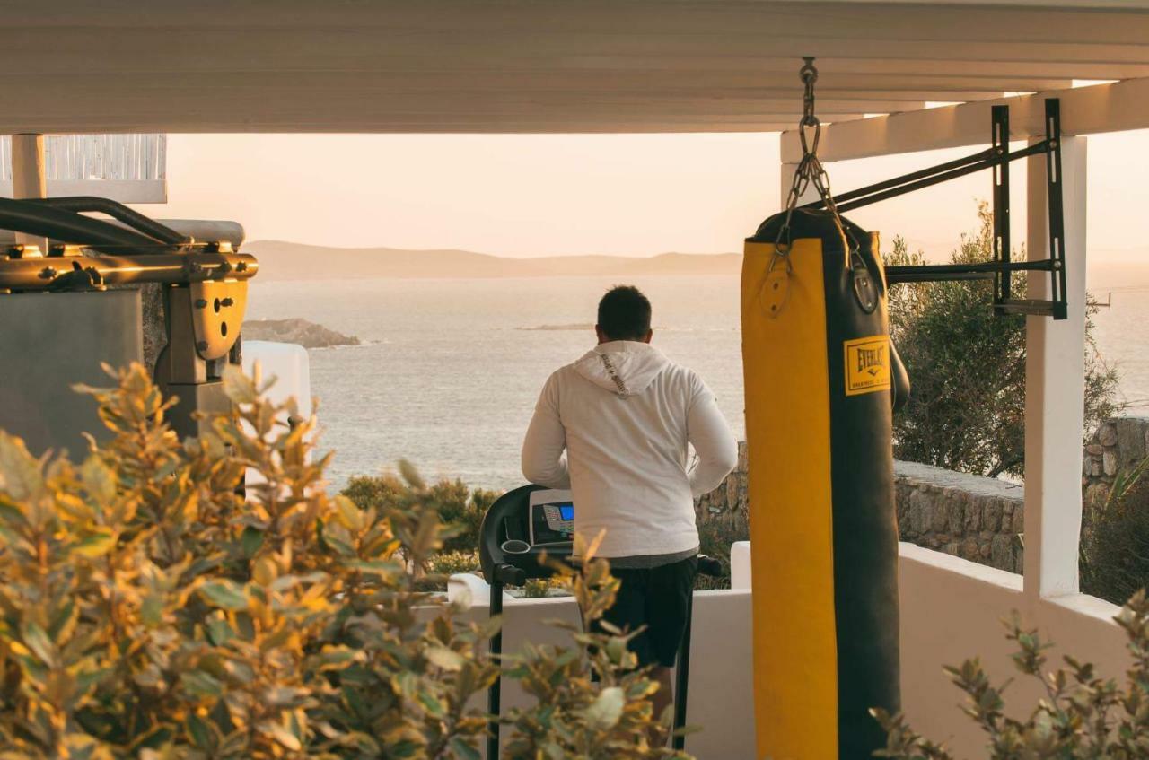 阿德尔独立套房酒店 Mykonos Town 外观 照片